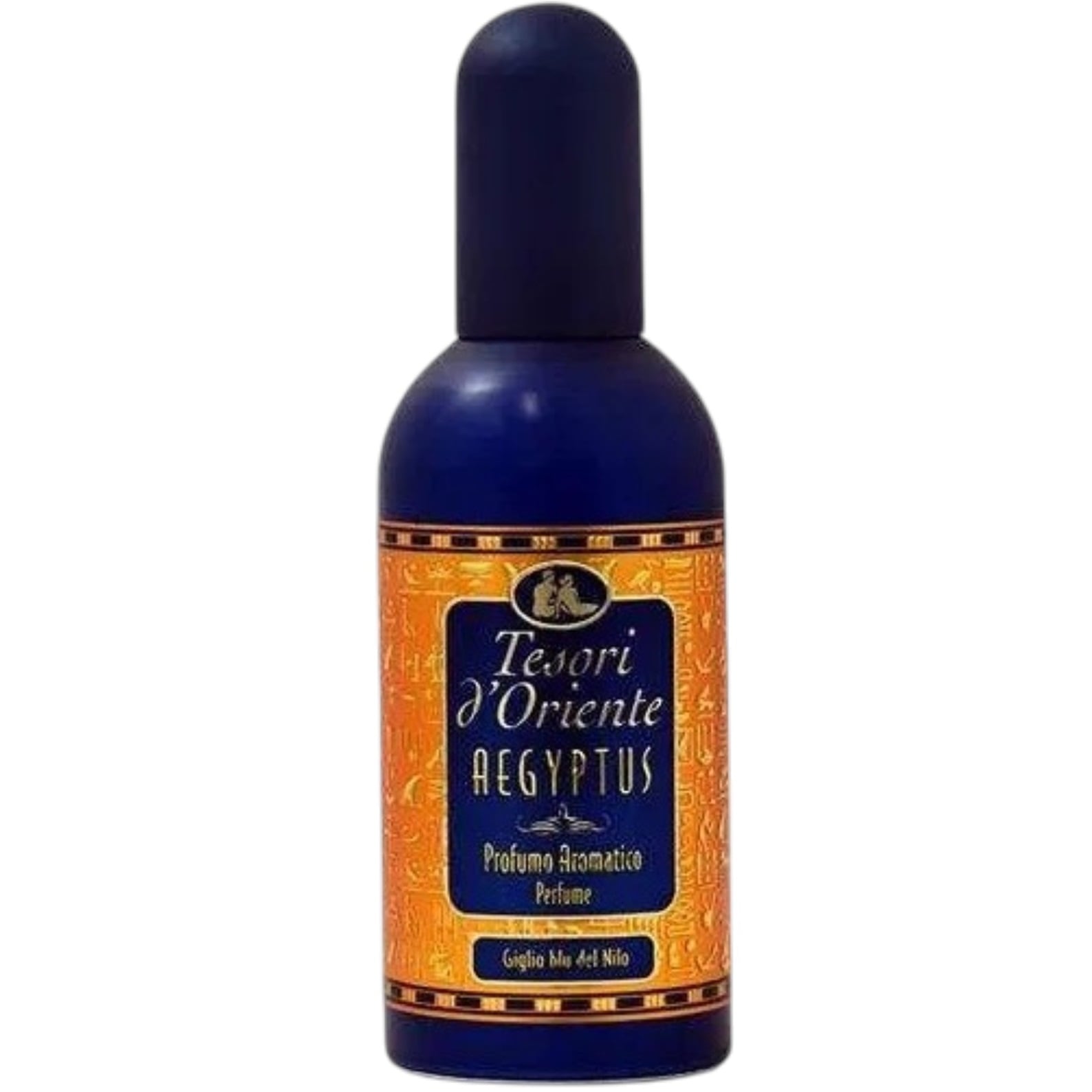 Tesori d"Oriente EDP 100ml Aegyptus