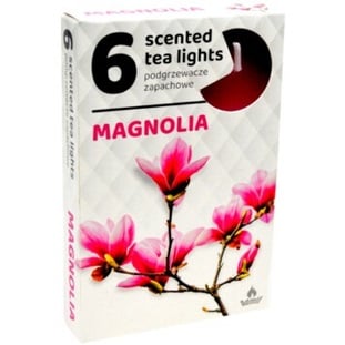 Admit Tea lights 6ks Magnolia