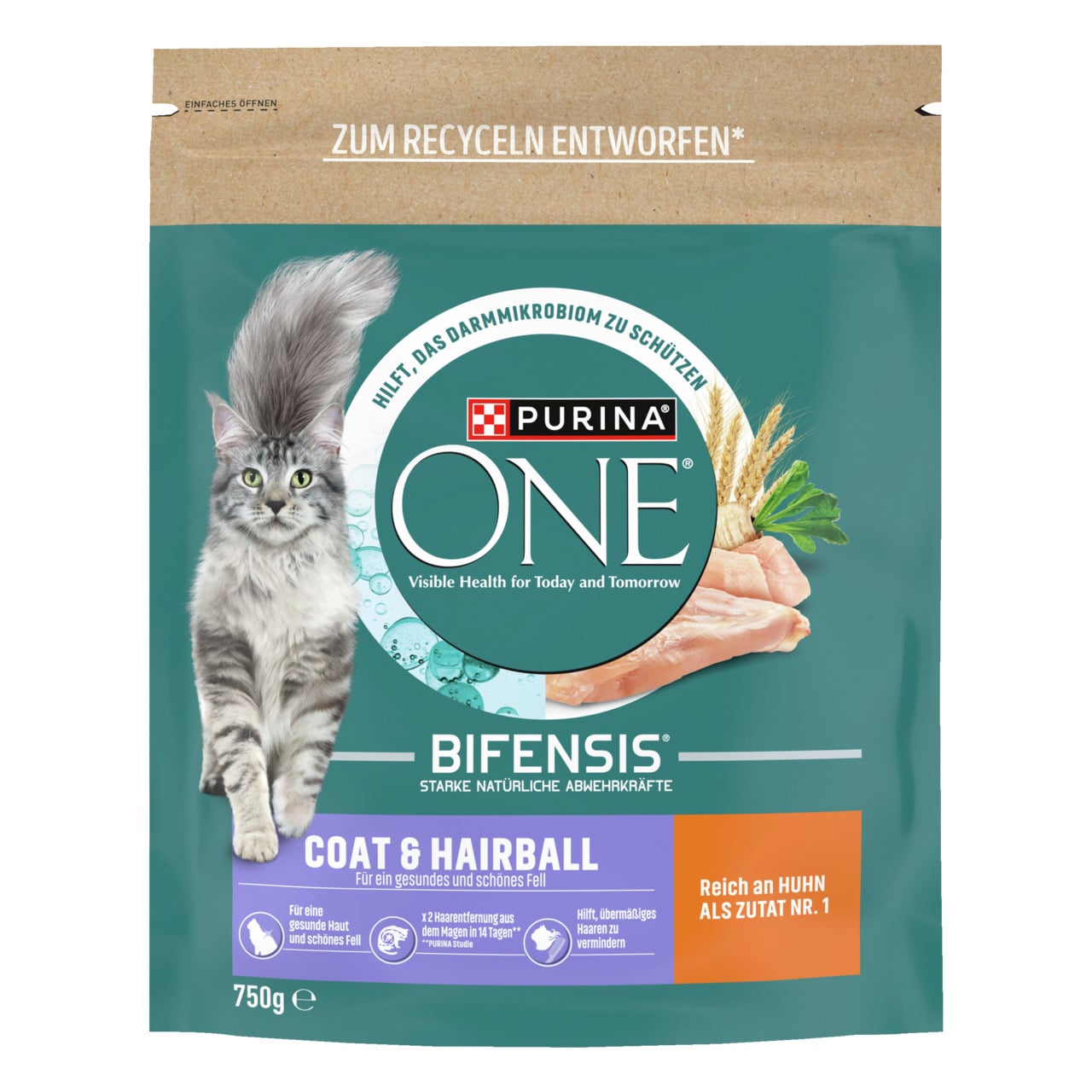 Purina One pro kočky 750g Bifensis Coat & Hairball with Chicken