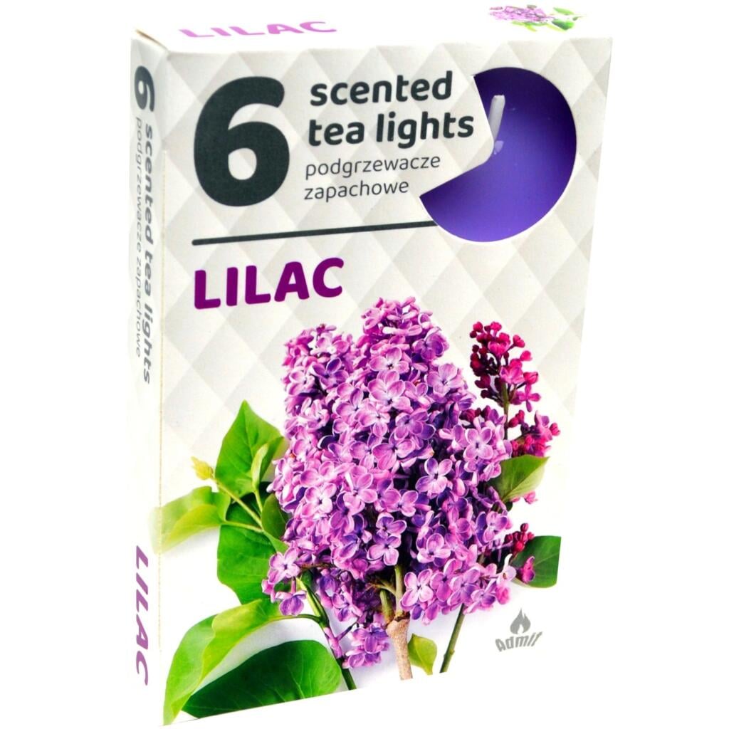 Admit Tea lights 6ks Lilac