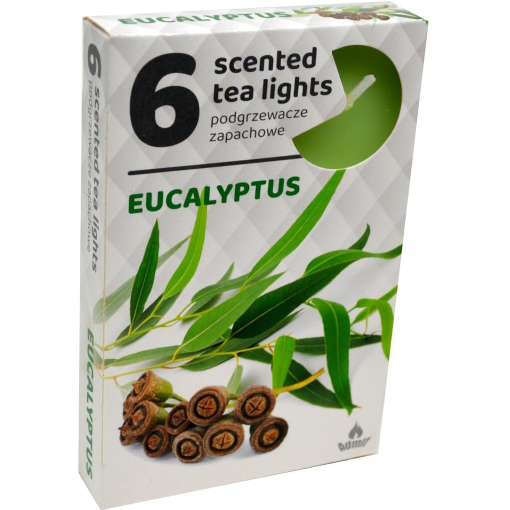 Admit Tea lights 6ks Eucalyptus