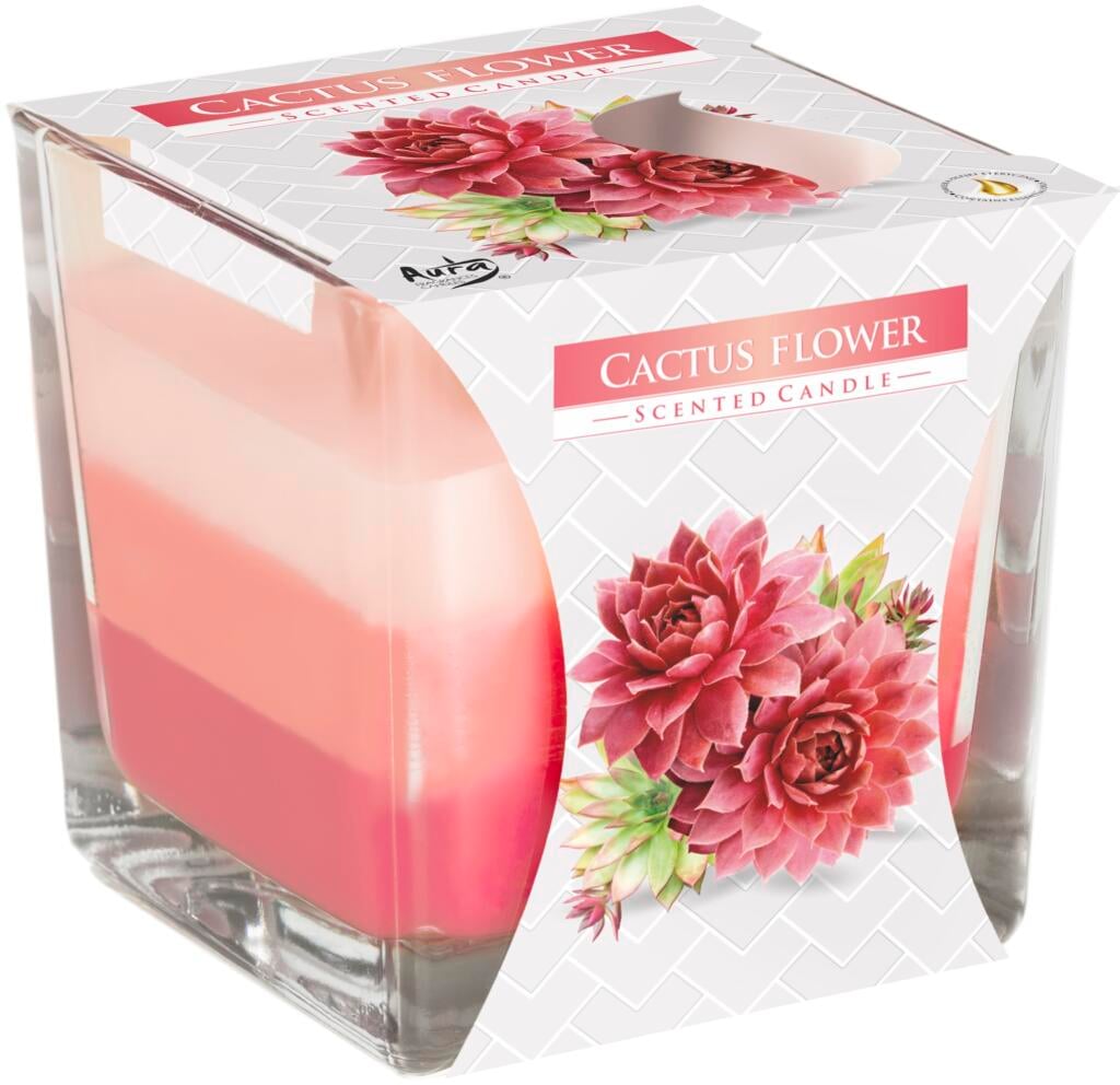Bispol svíčka 170g Cactus Flower