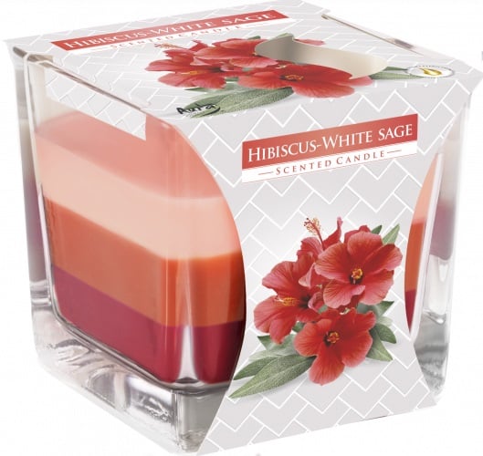 Bispol svíčka 170g Hibicus-White Sage