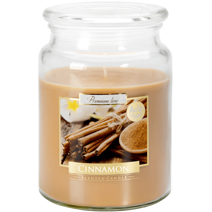 Bispol svíčka 500g Cinnamon