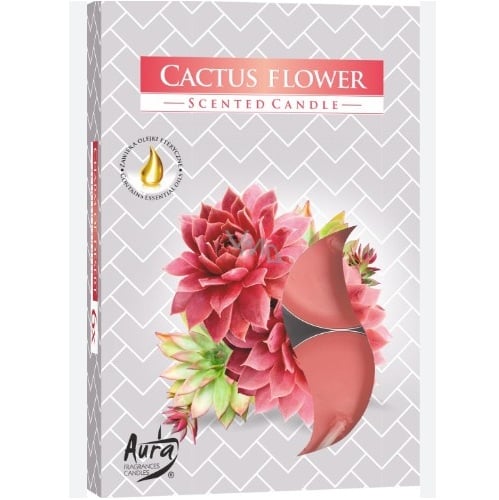 Bispol čajové svíčky 6ks Cactus Flower
