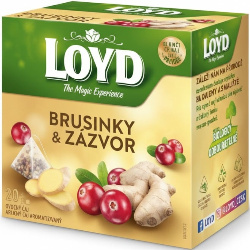 Loyd Brusinky & Zázvor 40g