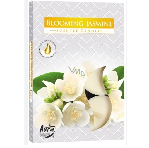 Bispol čajové svíčky 6ks Blooming Jasmine