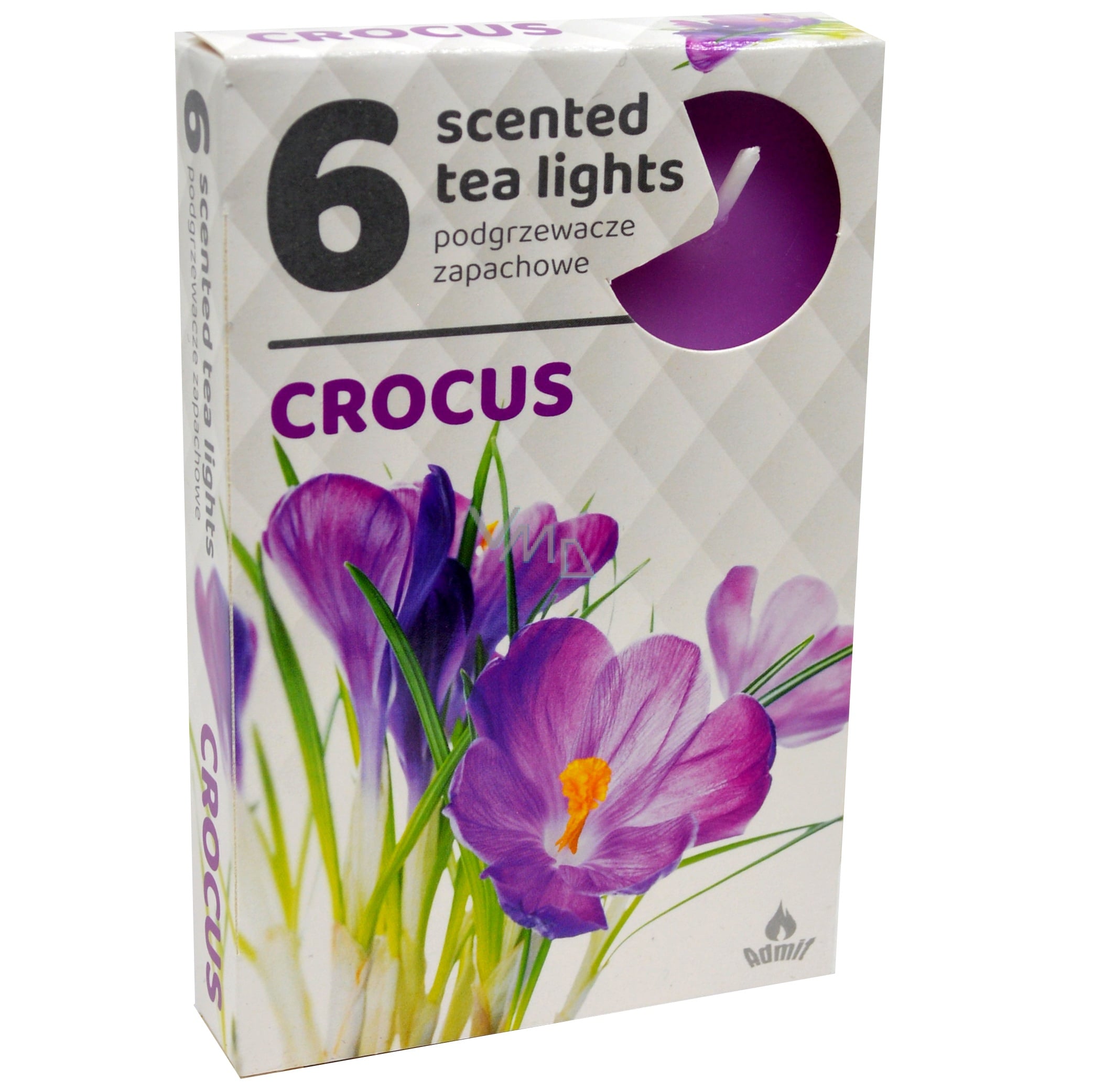 Admit Tea Lights 6ks Crocus